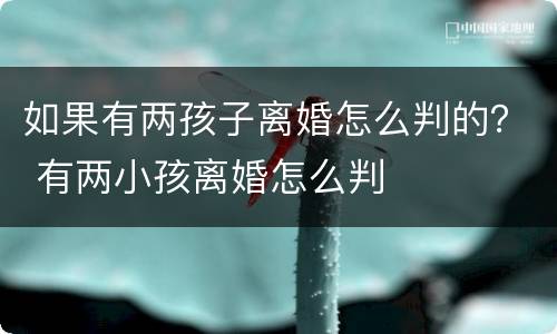 如果有两孩子离婚怎么判的？ 有两小孩离婚怎么判