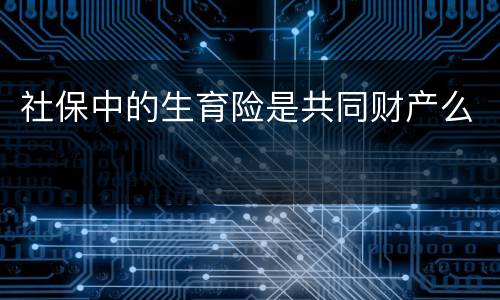 社保中的生育险是共同财产么