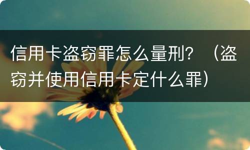 信用卡盗窃罪怎么量刑？（盗窃并使用信用卡定什么罪）