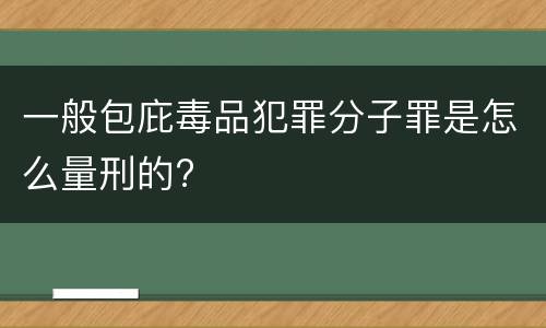 一般包庇毒品犯罪分子罪是怎么量刑的?