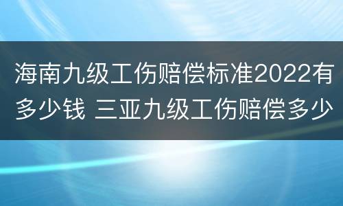海南九级工伤赔偿标准2022有多少钱 三亚九级工伤赔偿多少钱
