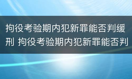 拘役考验期内犯新罪能否判缓刑 拘役考验期内犯新罪能否判缓刑案例