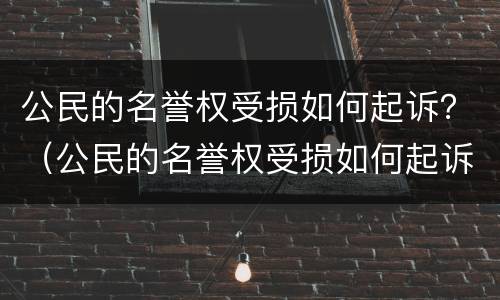 公民的名誉权受损如何起诉？（公民的名誉权受损如何起诉他）