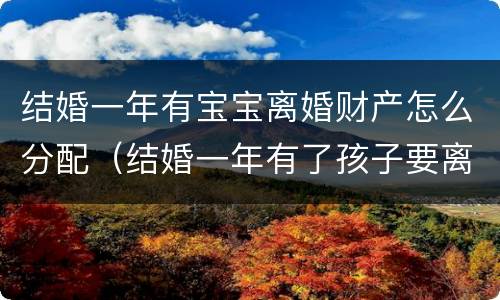 结婚一年有宝宝离婚财产怎么分配（结婚一年有了孩子要离婚怎么办）