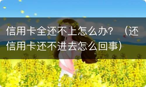 信用卡全还不上怎么办？（还信用卡还不进去怎么回事）