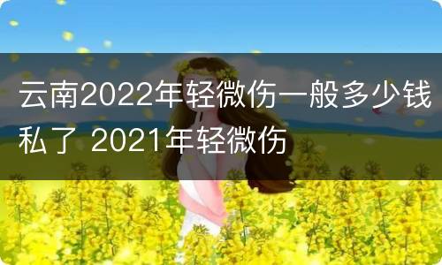 云南2022年轻微伤一般多少钱私了 2021年轻微伤