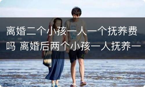 离婚二个小孩一人一个抚养费吗 离婚后两个小孩一人抚养一个费用如何承担