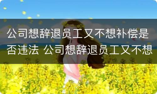 公司想辞退员工又不想补偿是否违法 公司想辞退员工又不想补偿是否违法了