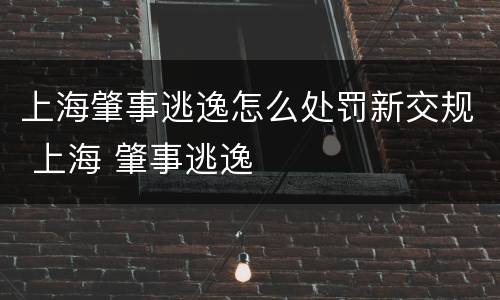 上海肇事逃逸怎么处罚新交规 上海 肇事逃逸