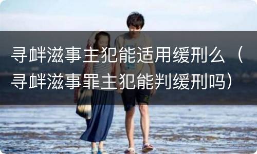 寻衅滋事主犯能适用缓刑么（寻衅滋事罪主犯能判缓刑吗）