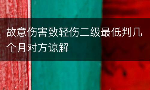 故意伤害致轻伤二级最低判几个月对方谅解