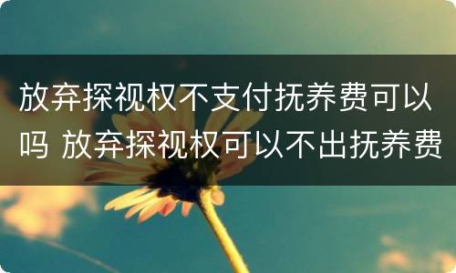 放弃探视权不支付抚养费可以吗 放弃探视权可以不出抚养费吗