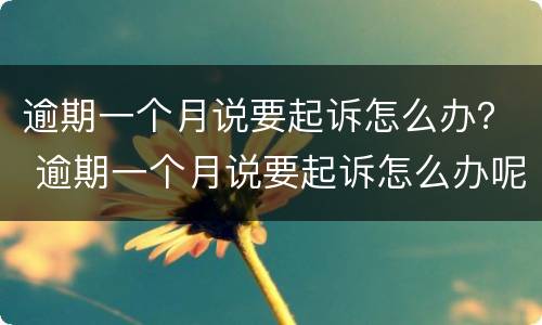 逾期一个月说要起诉怎么办？ 逾期一个月说要起诉怎么办呢