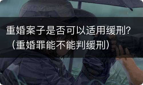 重婚案子是否可以适用缓刑？（重婚罪能不能判缓刑）