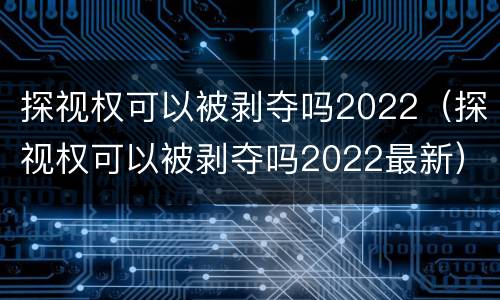 探视权可以被剥夺吗2022（探视权可以被剥夺吗2022最新）