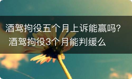 酒驾拘役五个月上诉能赢吗？ 酒驾拘役3个月能判缓么