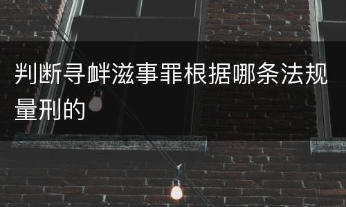 判断寻衅滋事罪根据哪条法规量刑的