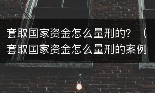 套取国家资金怎么量刑的？（套取国家资金怎么量刑的案例）