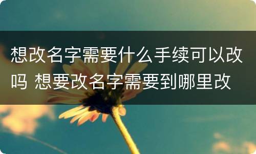 想改名字需要什么手续可以改吗 想要改名字需要到哪里改