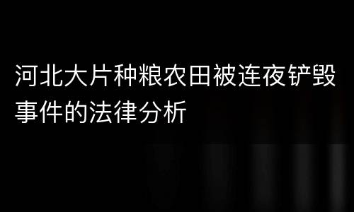 河北大片种粮农田被连夜铲毁事件的法律分析