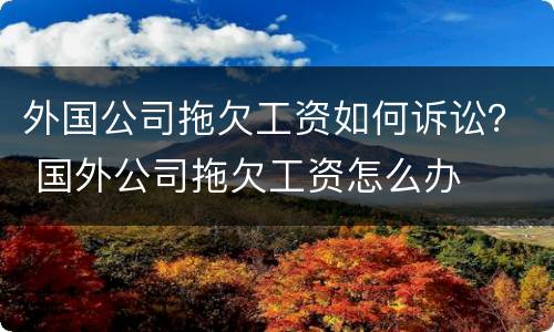 外国公司拖欠工资如何诉讼？ 国外公司拖欠工资怎么办