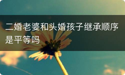 二婚老婆和头婚孩子继承顺序是平等吗