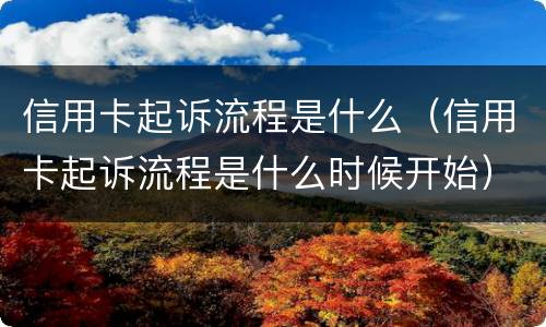 信用卡起诉流程是什么（信用卡起诉流程是什么时候开始）