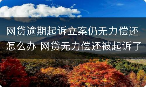 网贷逾期起诉立案仍无力偿还怎么办 网贷无力偿还被起诉了怎么办