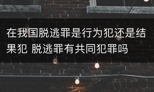 在我国脱逃罪是行为犯还是结果犯 脱逃罪有共同犯罪吗