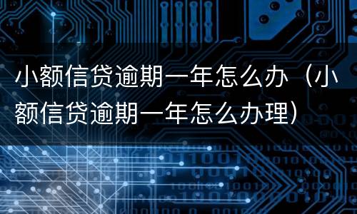 小额信贷逾期一年怎么办（小额信贷逾期一年怎么办理）