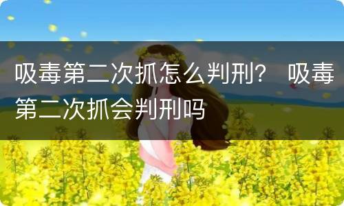 吸毒第二次抓怎么判刑？ 吸毒第二次抓会判刑吗