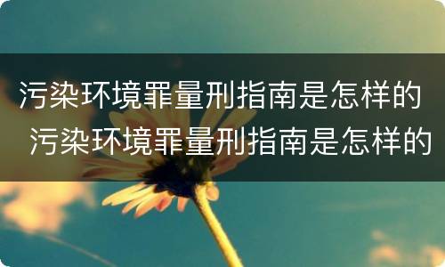 污染环境罪量刑指南是怎样的 污染环境罪量刑指南是怎样的案例