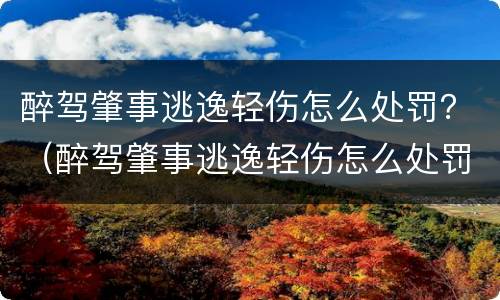 醉驾肇事逃逸轻伤怎么处罚？（醉驾肇事逃逸轻伤怎么处罚的）