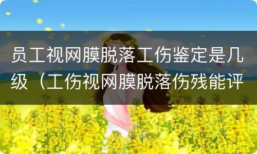 员工视网膜脱落工伤鉴定是几级（工伤视网膜脱落伤残能评几级）
