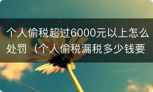 个人偷税超过6000元以上怎么处罚（个人偷税漏税多少钱要坐牢）