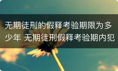 无期徒刑的假释考验期限为多少年 无期徒刑假释考验期内犯新罪
