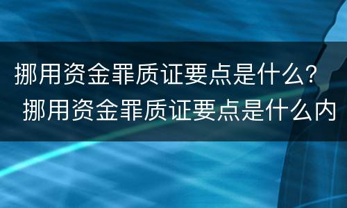 挪用资金罪质证要点是什么？ 挪用资金罪质证要点是什么内容