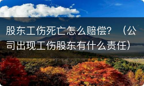 股东工伤死亡怎么赔偿？（公司出现工伤股东有什么责任）