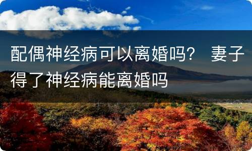 配偶神经病可以离婚吗？ 妻子得了神经病能离婚吗