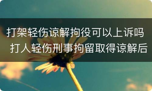 打架轻伤谅解拘役可以上诉吗 打人轻伤刑事拘留取得谅解后可消除案底吗