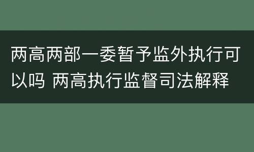 两高两部一委暂予监外执行可以吗 两高执行监督司法解释