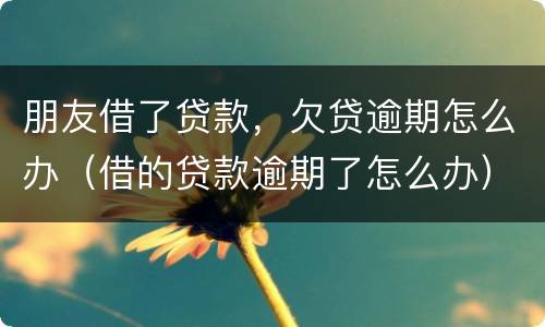 朋友借了贷款，欠贷逾期怎么办（借的贷款逾期了怎么办）