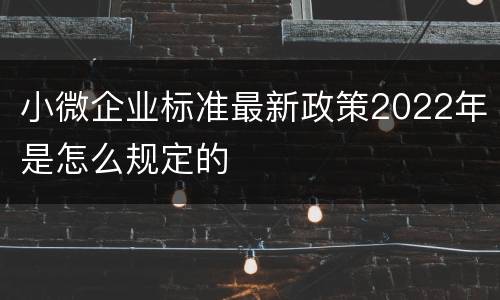 小微企业标准最新政策2022年是怎么规定的