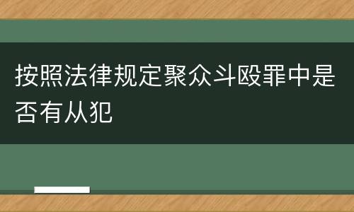 按照法律规定聚众斗殴罪中是否有从犯