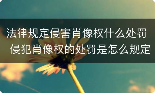 法律规定侵害肖像权什么处罚 侵犯肖像权的处罚是怎么规定的