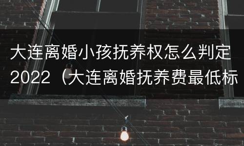 大连离婚小孩抚养权怎么判定2022（大连离婚抚养费最低标准）