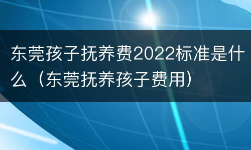 东莞孩子抚养费2022标准是什么（东莞抚养孩子费用）