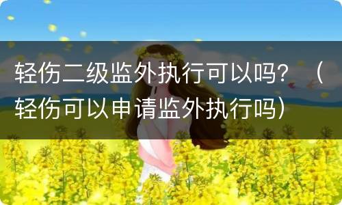 轻伤二级监外执行可以吗？（轻伤可以申请监外执行吗）
