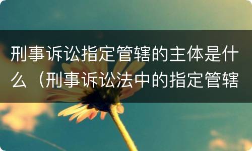 刑事诉讼指定管辖的主体是什么（刑事诉讼法中的指定管辖）