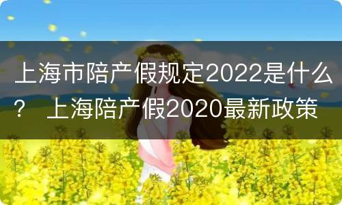 上海市陪产假规定2022是什么？ 上海陪产假2020最新政策